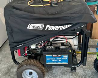 Electric Generator 11000W