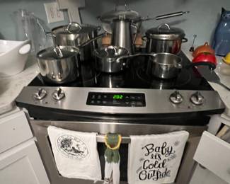 Martha Stewart stainless cookware 