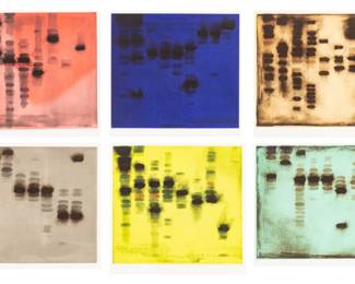 Dennis John Ashbaugh (American, B. 1946) Aquatint Etchings with Carborundum And Spit Bite, Ca. 1992, Agrippa, Suite of Six, H 25.75" W 27"