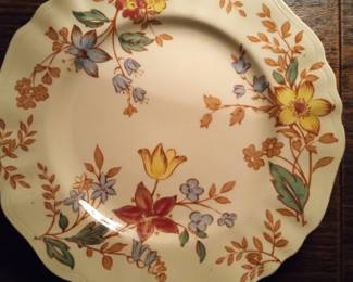 RARE FIND: English China from 1950s, "Cotswold" hand-painted design by J&B Meakin. Many pieces.
