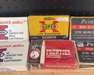 270 Winchester Cartridges