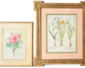 103. Two 2 Framed Floral Prints