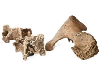 130. Royal Crown Derby Bali GRAVY BOWL UNDER PLATE English Bone China