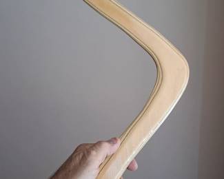 Authentic Boomerang $15