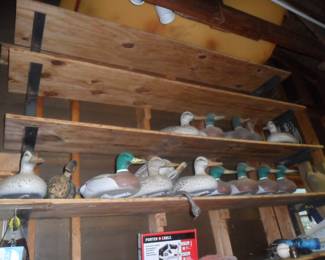 Duck hunters we have your decoys