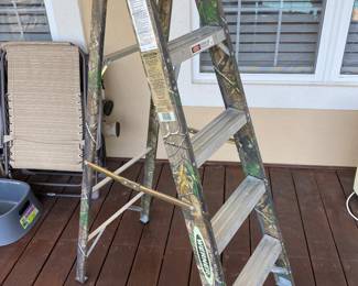 Werner Aluminum Ladder
