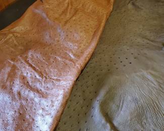 Ostrich leather, we have more