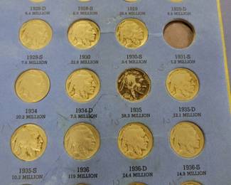 Buffalo Nickels 