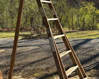 Apple orchard ladder
