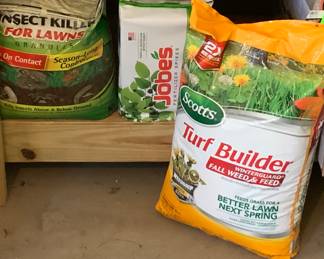 Perfect time of the year to buy these! Far cheaper than the garden centers!