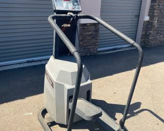 Life Step By Life Fitness Exercise Machine