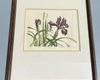 Iris, Chromolithograph, Signed And Numbered
