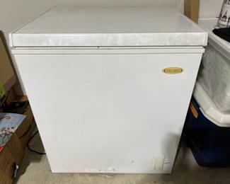 Holiday Freezer  5 ft