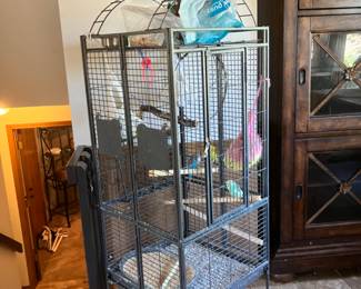 Big bird cage …. With 3 bright, colorful parakeets!