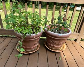 Ypi0m8 G5qVXp373pNNdptv