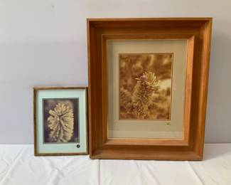 Pair of Limited Edition Framed Photos by Troy D Ziegler