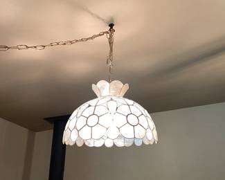 Shell-Like Hanging Light

