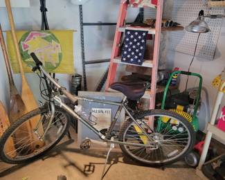 Trek 820 Mountain Bike.