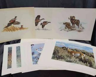 A Multitude Of Animal Prints