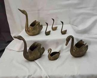 Brass Swan Families 