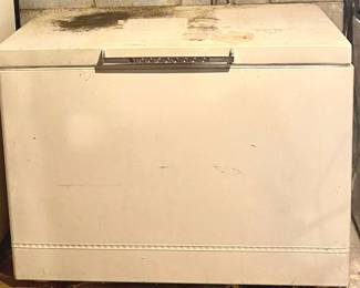 034 Sears Coldspot Freezer