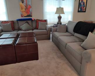 sofas, unique table/storage,seating combo