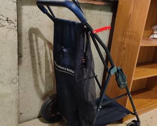 Nantucket Beach Buggy