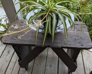 Primitive bench , flora