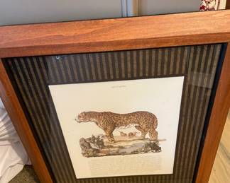 vintage cheetah print