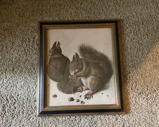 Antique squirrel print