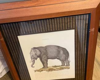 vintage elephant print