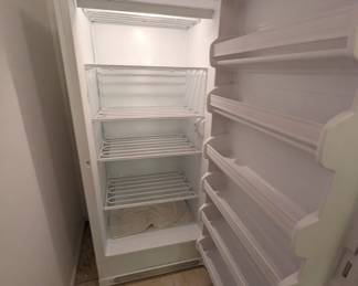 HUGE Frigidaire Freezre