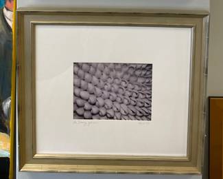 Original Photography, Signed by Artist, Lisa Johnson.