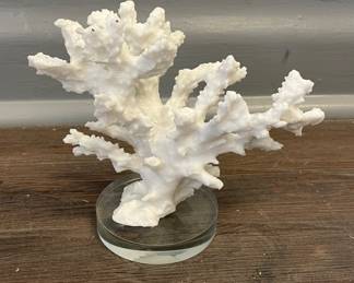 Coral on Lucite Base.