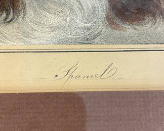 Antique Print, "Spaniel" Signed By Artist, 1860. Measures 8" x 10" without frame; 17.5" x 21". Photo 4 of 4.
