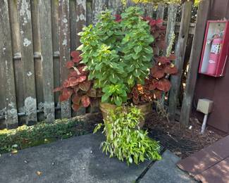 XL ceramic pottery planter