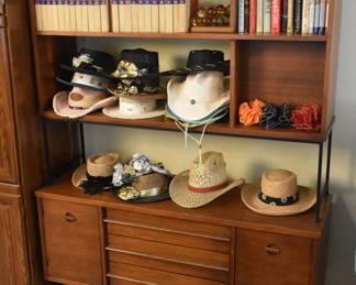 the Bassett cabinet and shelf unit, as well as the gun are sold