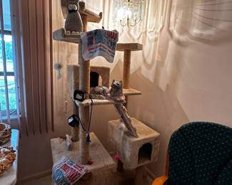 Huge cat condo/gym