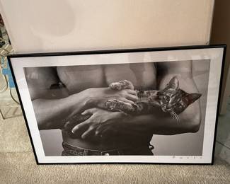 Framed cat pic