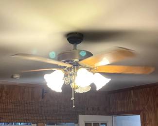 Light Fan in Front Room