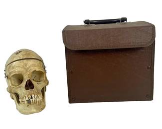 Vintage Medical / Dental School Anatomical Human Skull With Case