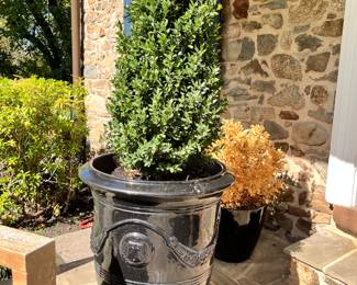 1  of a pair of French Black Poterie de La Madeleine Pots with Box Hedge