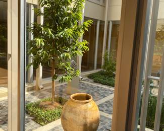 French Biot olive jar - one of several