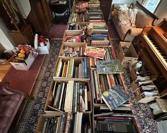 Books- children's, art, hobby, history, travel