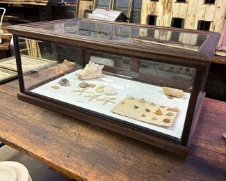 Antique oak and glass counter top display cabinet 