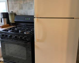 Gas stove and fridge