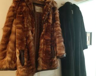 Fur-the temp is dropping!!!!