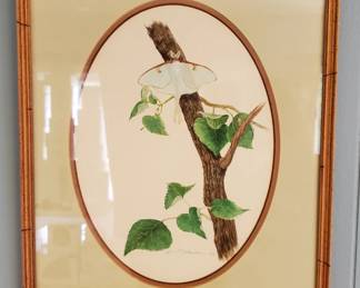 Jim Michielsen Original 