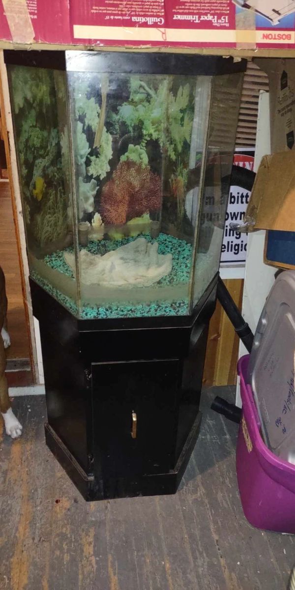 Fish tank with accessories 