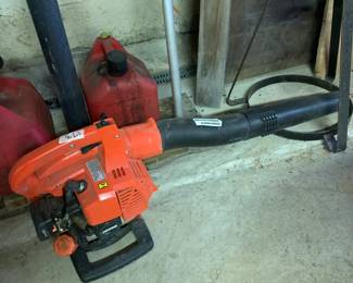 #173	Gas Echo Blower ES250	 $100.00 			
